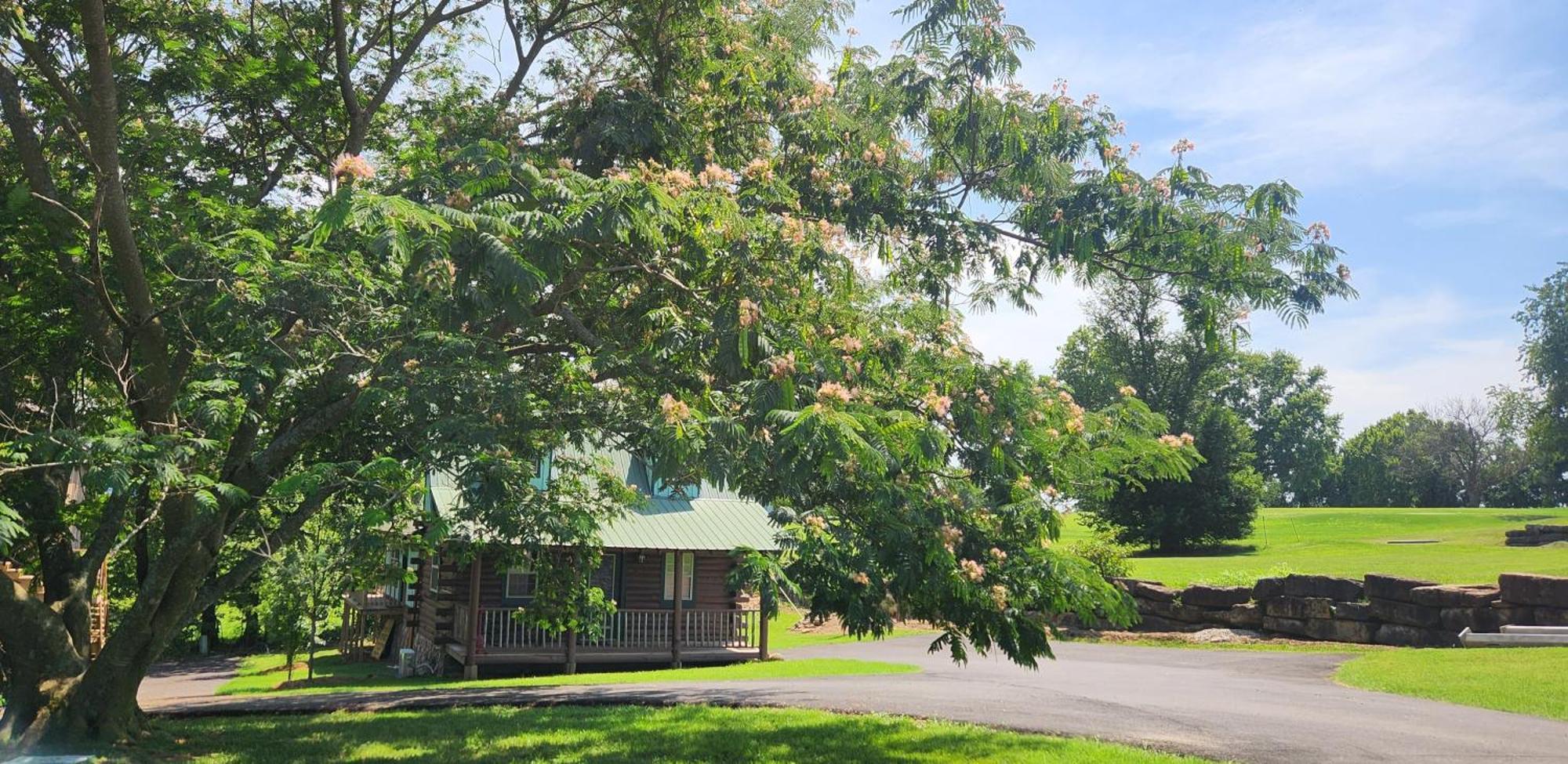 Fairway Inn Berryville المظهر الخارجي الصورة